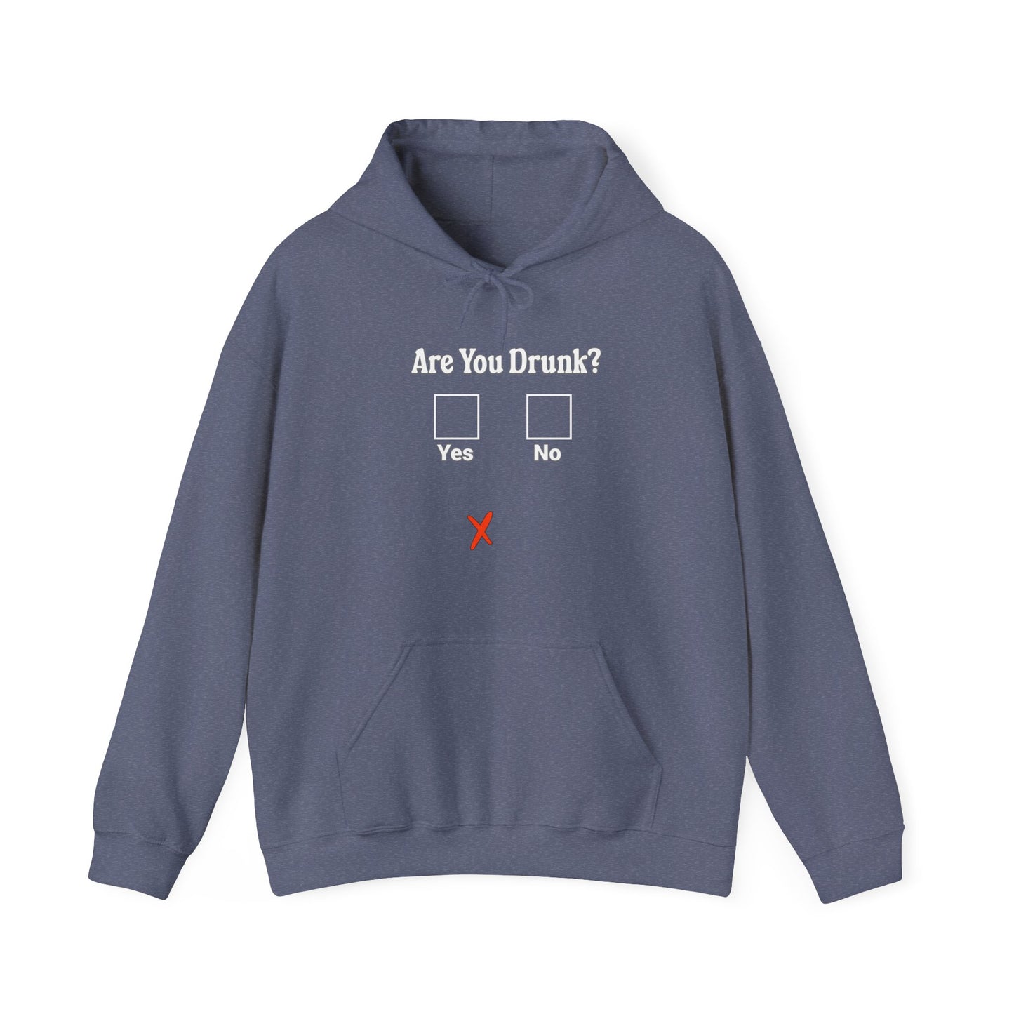 Are You Drunk? Hoodie