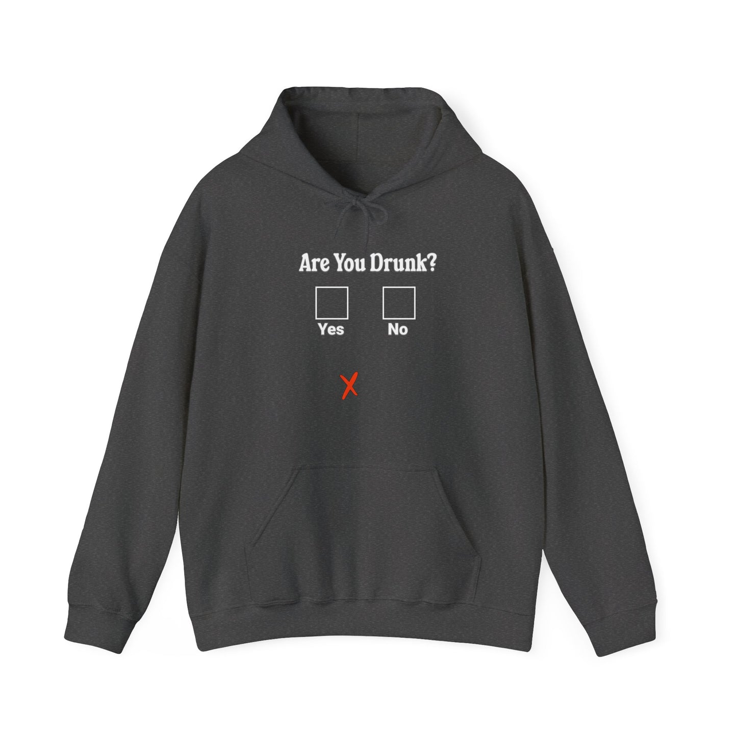 Are You Drunk? Hoodie